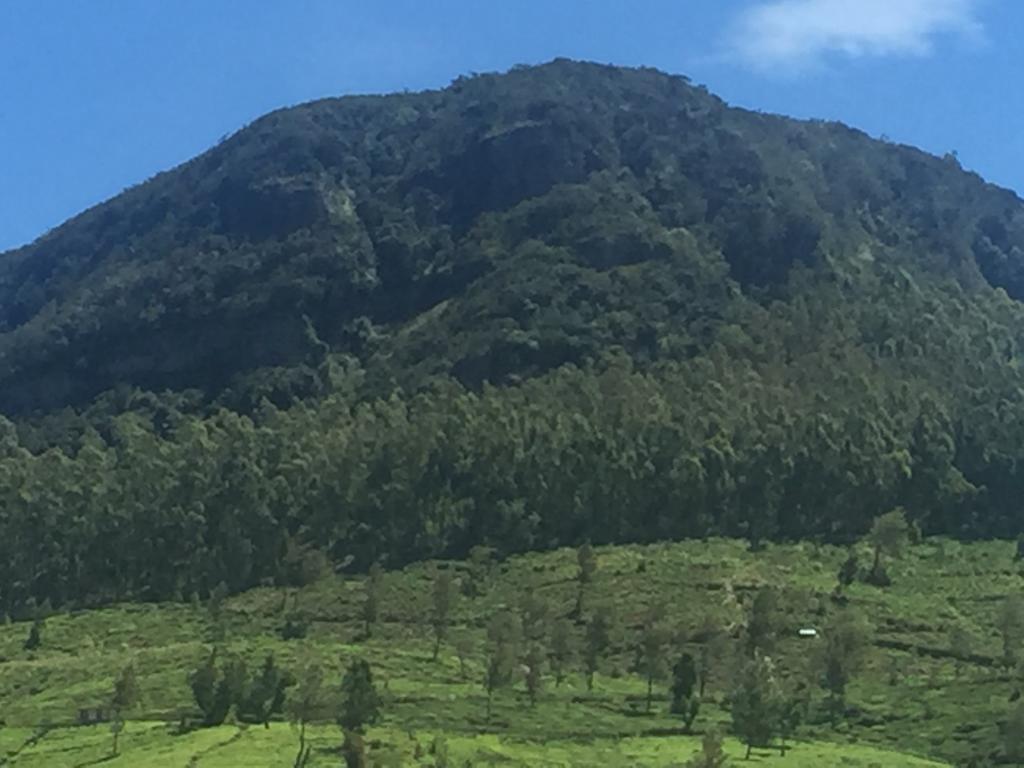 Perera Homestay Nuwara Eliya Exterior foto